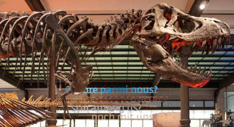 Museum of Natural Sciences bild på dinosaurie som använder nyckelhantering
